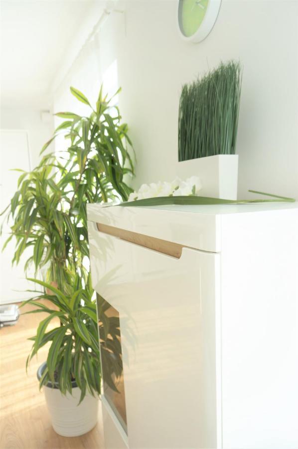 Panorama Penthouse Apartment Mit Klima Und Whirlpool Fuer Bis Zu 6 Personen Frankenthal  Esterno foto